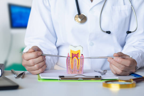 Best Emergency Root Canal Therapy in Mitchellville, IA